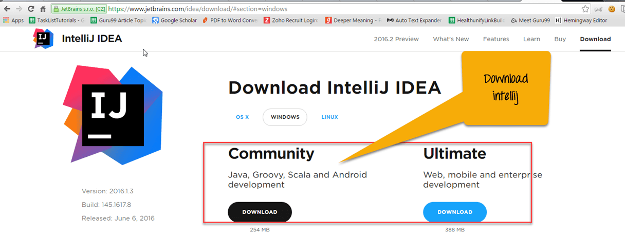 How to use IntelliJ IDEA & Selenium Webdriver